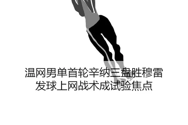 wen-wang-nan-dan-shou-lun-xin-na-san-pan-sheng-mu-lei-fa-qiu-shang-wang-zhan-shu-cheng-shi-yan-jiao-dian-3-693.jpg