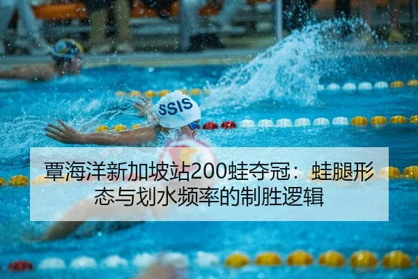 tan-hai-yang-xin-jia-po-zhan-wa-duo-guan-wa-tui-xing-tai-yu-hua-shui-pin-lv-de-zhi-sheng-luo-ji-2-954.jpg